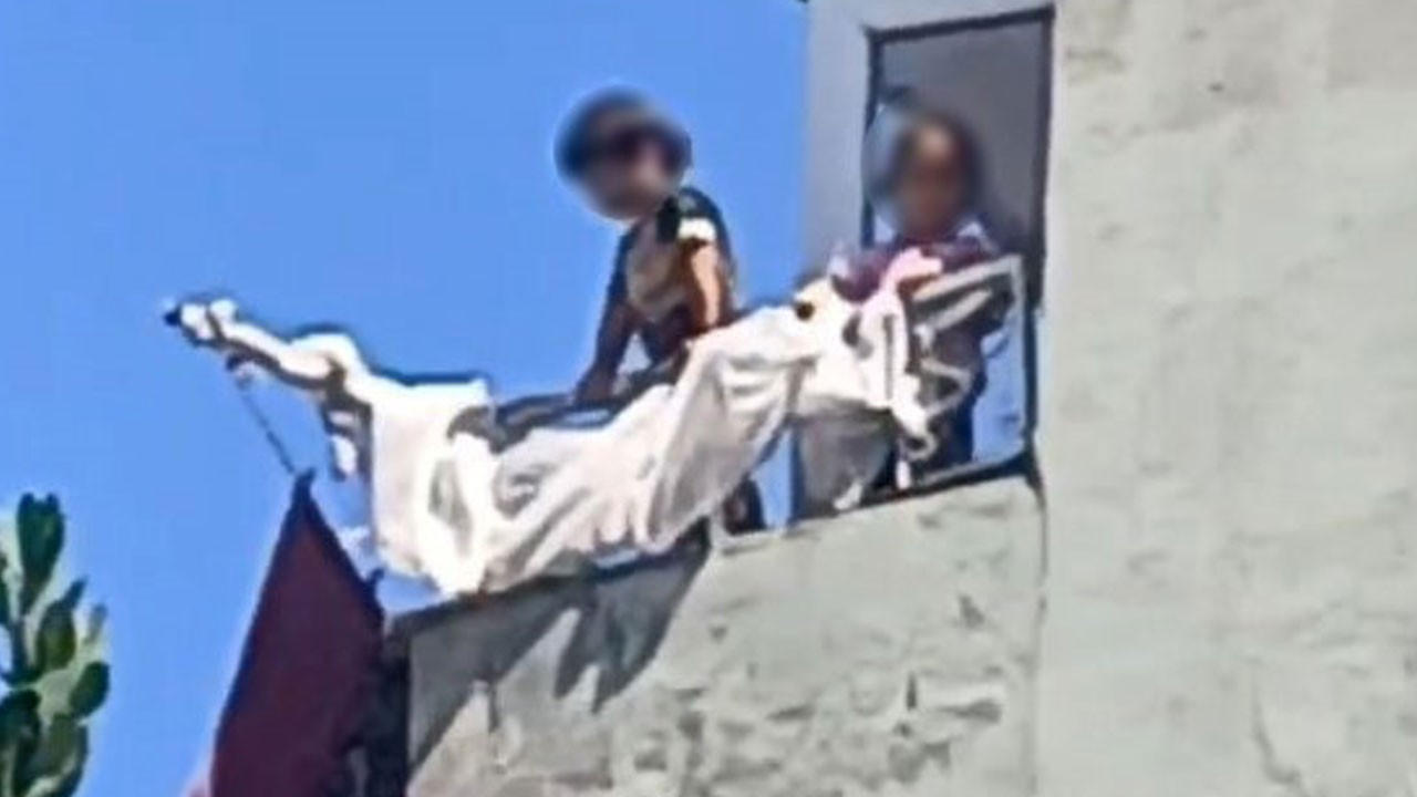 Yaramaz minikler herkesi böyle korkuttu!