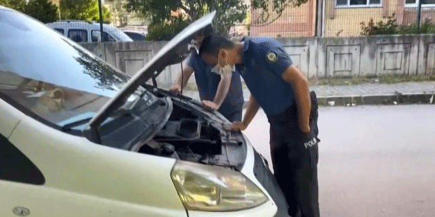 Yaramaz yavru kedi, mahalleyi ve polisleri harekete geçirdi