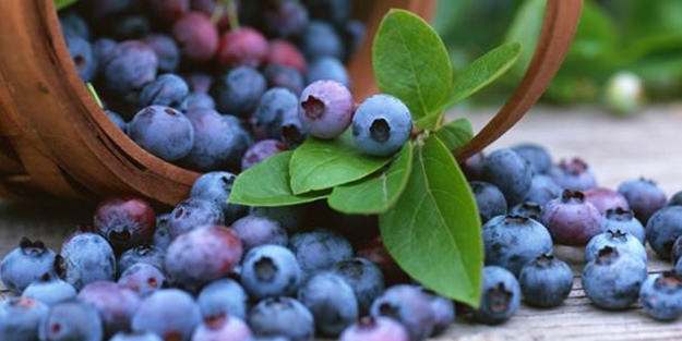 Yararları bu meyvelerin renginde saklı!