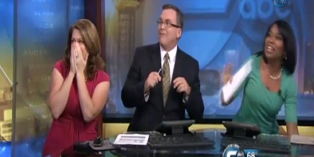 Yarasa stüdyoyu bastı