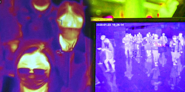 Yarasadan mı yoksa yılandan mı bulaştı? Uzmanlar açıkladı