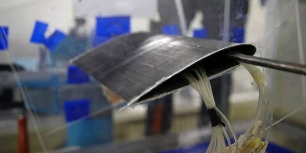 Yarasalardan esinlenildi! Bayraktar ile görüşüyorlar