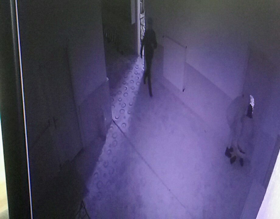 Yardım kumbarasını çalan çocuklar kamerada 
