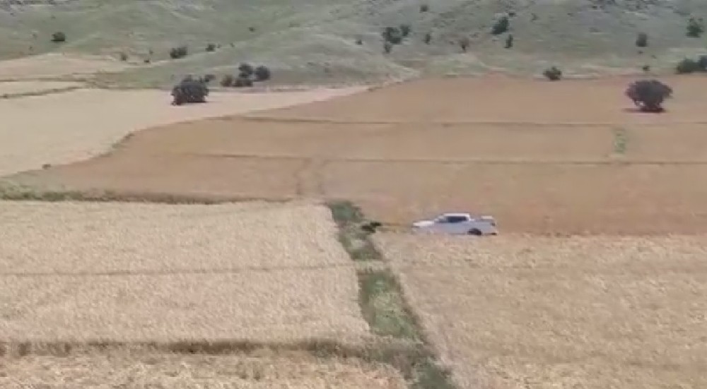 Yardıma gittikleri ayının saldırısıyla karşılaştılar 