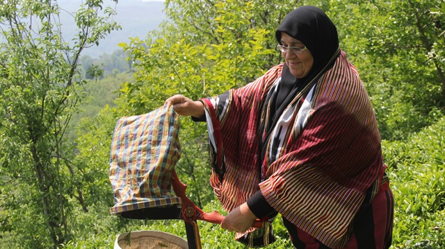 Yaş çay ücretleri ödenmeye başladı