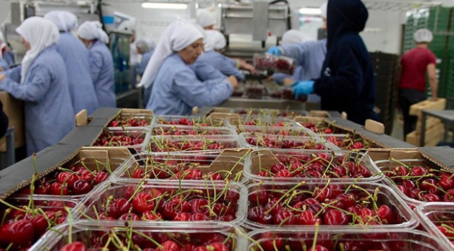 Yaş meyve sebze ihracatına Rusya dopingi