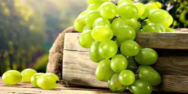 Yaş üzüm ihracatında yüzde 43 artış