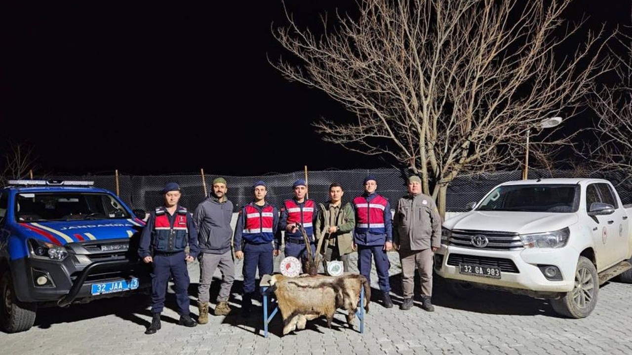 Yasa dışı yaban keçisi avladı cezayı yedi
