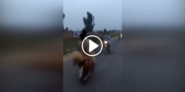 Yasa dışı yarışta korkunç kaza!