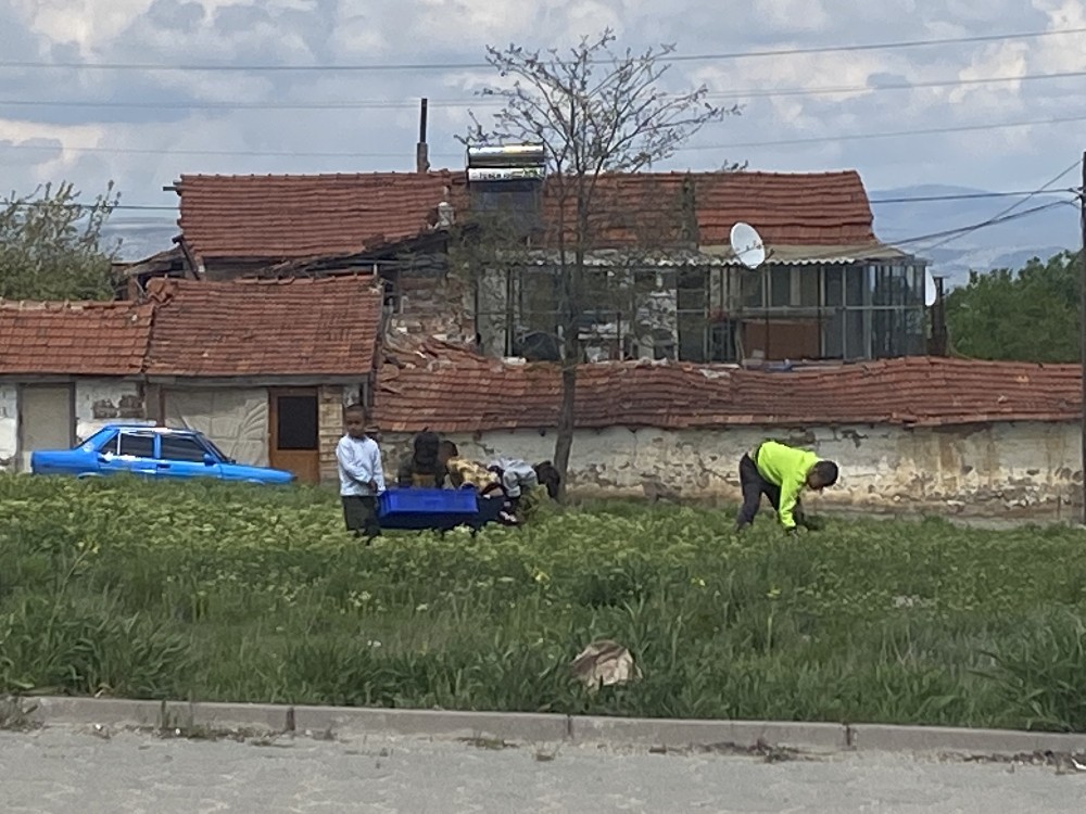 Yasağa aldırmayan sokaktaki bu çocukları gören yok mu? 