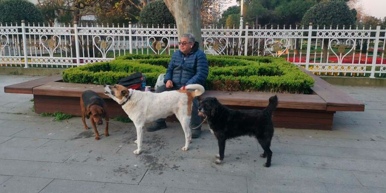 Yasağa rağmen sokağa çıktı! Bahanesi pes dedirtti