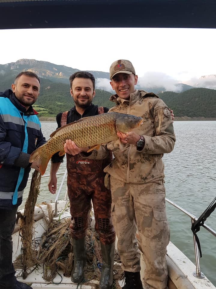 Yasak ava geçit yok 