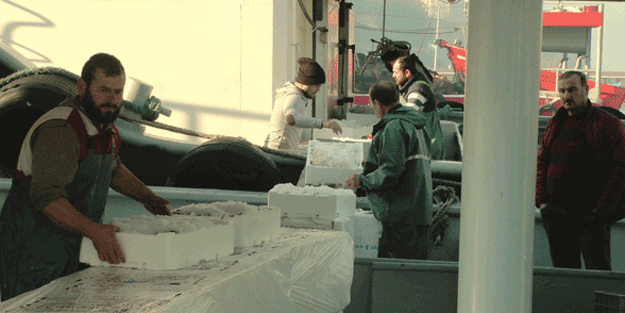 Yasak başladı… Fiyatlar fırladı!