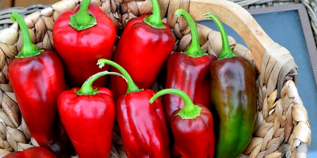 Yasaklanan ölüm hapı yine raflarda!