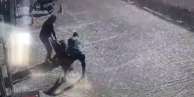 Yasaklı köpek, genç kadın ve köpeğine dehşeti yaşattı! İşte o anlar...