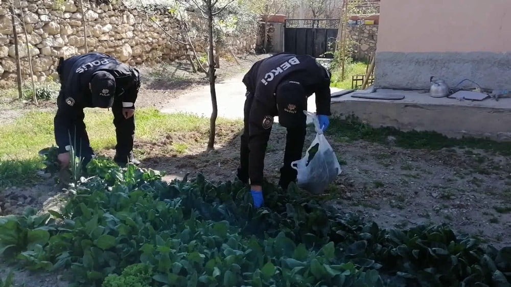 Yaşlı adamın isteğini kırmayan polis Abdullah amca için ıspanak topladı 