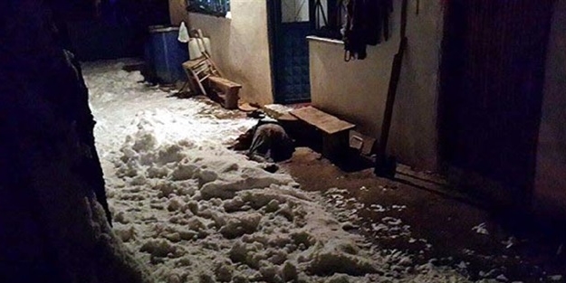 Yaşlı çiftin acı kaderi