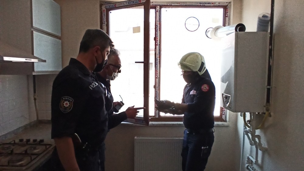 Yaşlı kadın pencereye sıkışan kuşu görünce 