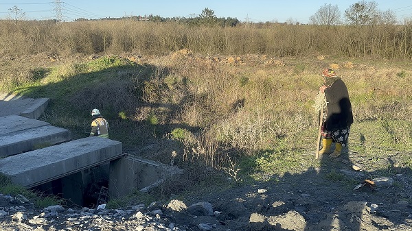 Yaşlı kadın saatlerce ineğinin yanında bekledi