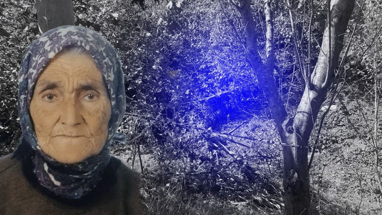 Yaşlı kadını domuz zannederek öldürdü! Zonguldak’ta inanılmaz olay
