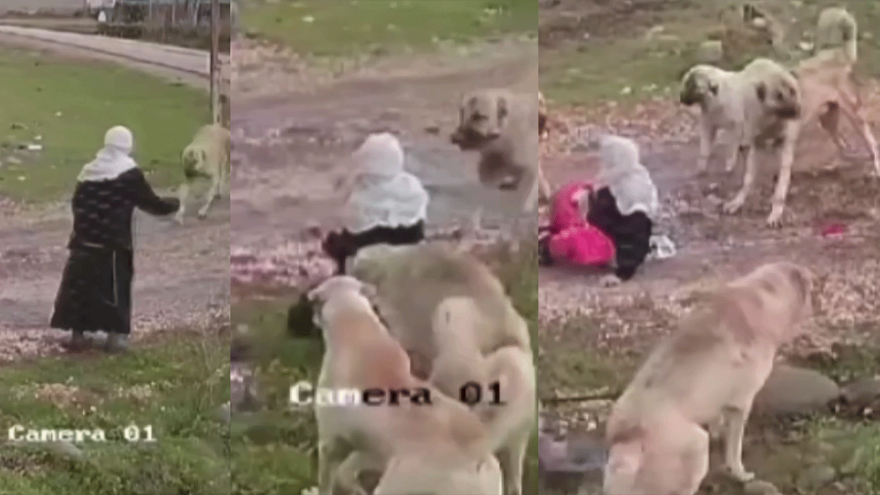 Yaşlı kadını kan revan içinde bıraktılar! Vahşet güvenlik kamerasına böyle yansıdı