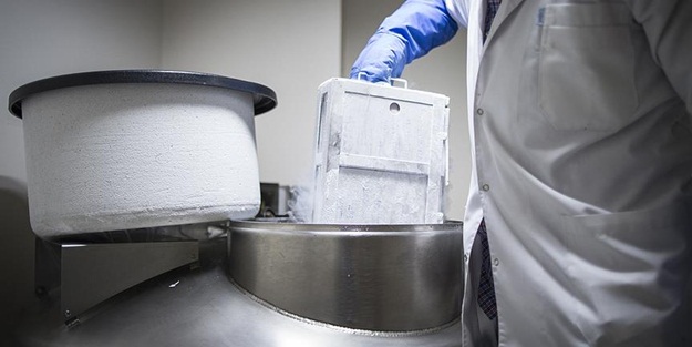 Yaşlı kalpleri gençleştirmenin yolu bulundu