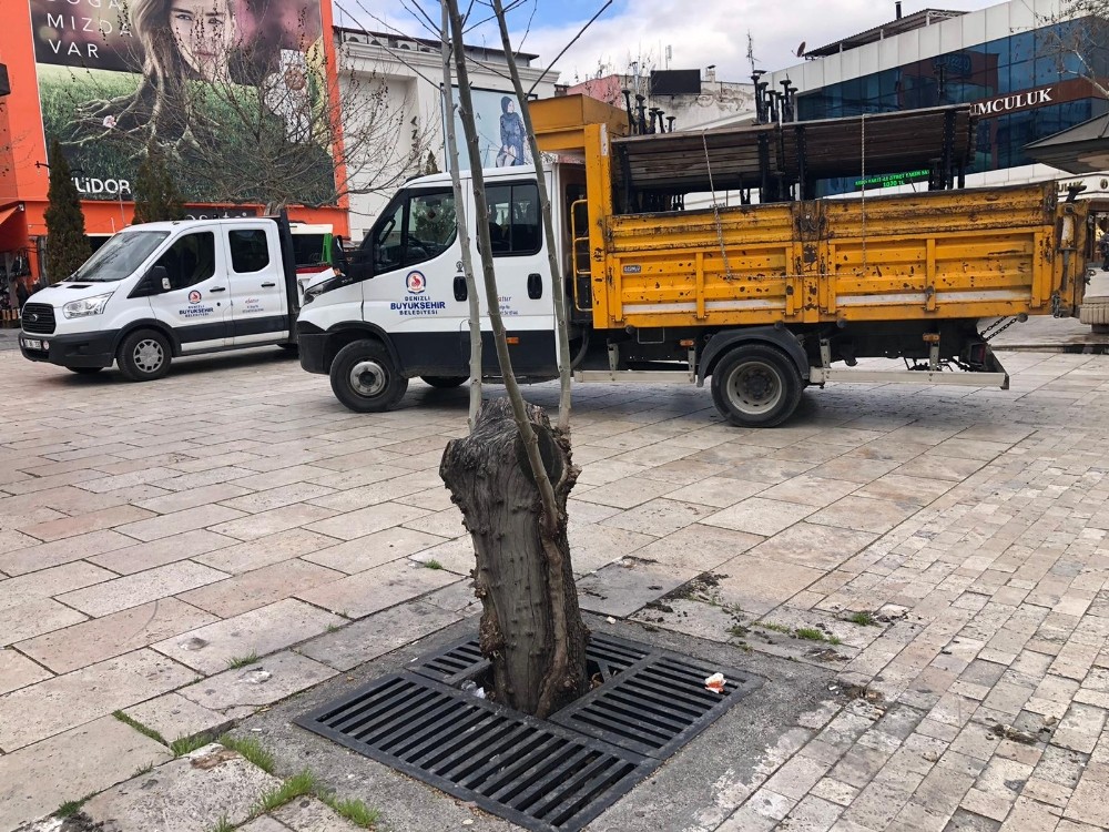 Yaşlılar Korona virüsüne aldırış etmeyince banklar söküldü 