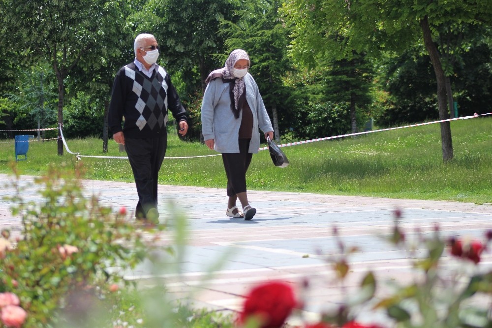 Yaşlılar rengarenk çiçeklerle bürünen parklarda gezdi 