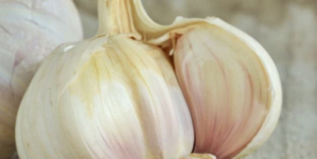 Yastığın altına bir diş sarımsak koyarsanız! Kökten çözen, fayda eden yöntem, deneyin! Bunu kimse bilmiyor