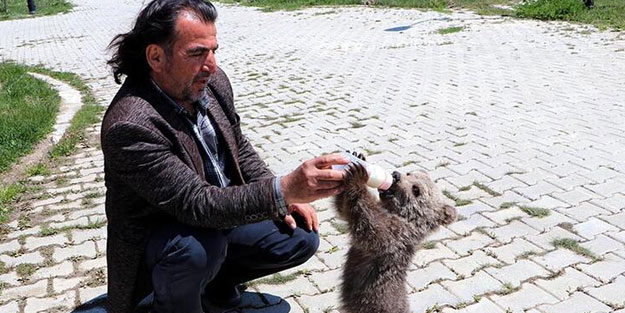 Yavru ayı için karar verildi