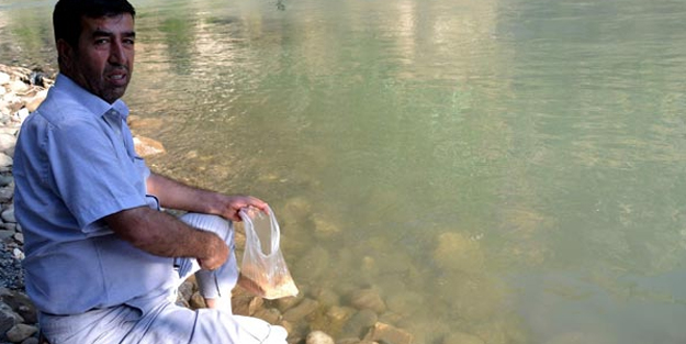 Yavru balıklar için her gün çay kenarına gidiyor!