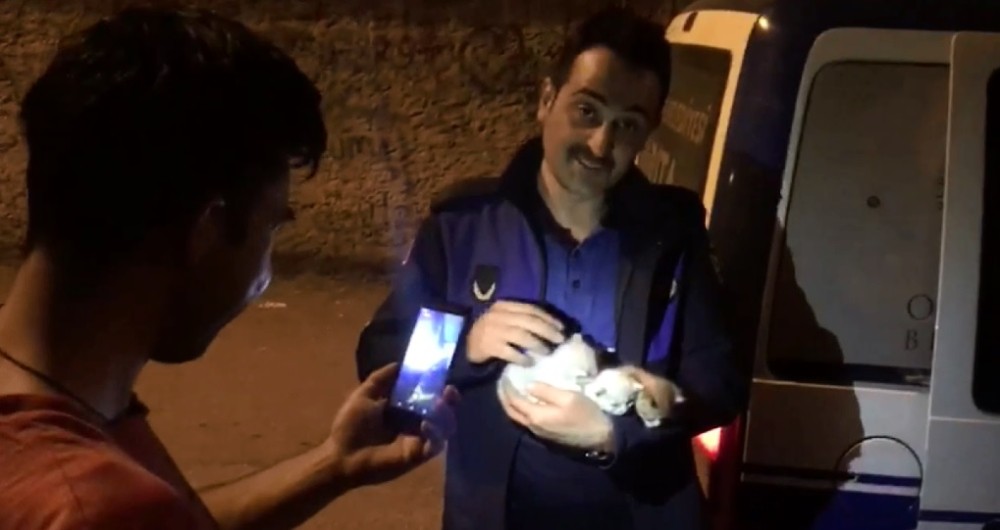 Yavru kedi ve annelerini zabıta kavuşturdu 