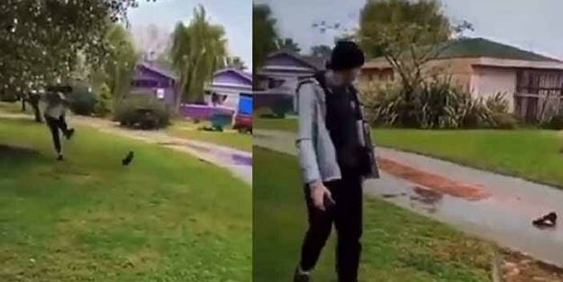 Yavru kediye tekme atmıştı! 'Hayvana işkence etme' suçundan tutuklandı