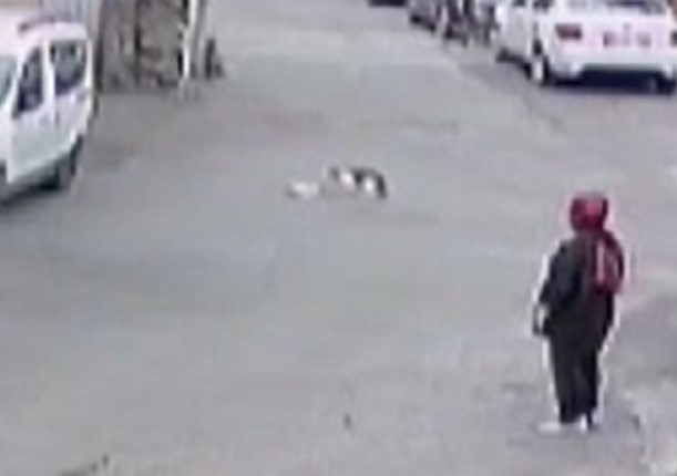 Yavru kediyi ezdi! Arkasına bakmadan devam etti