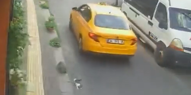 Yavru kediyi ezen taksici arkasına bakmadan kaçtı!