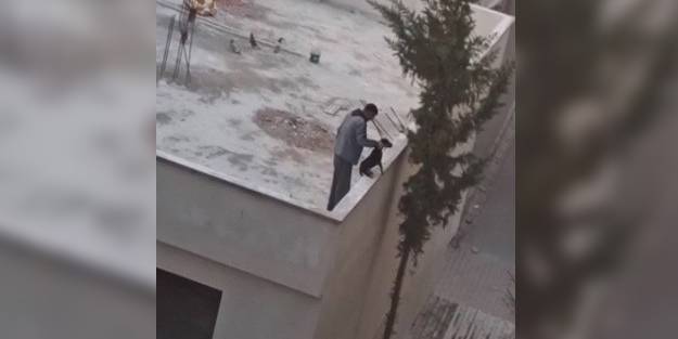 Yavru köpeğe kan donduran işkence! Görüntüler yürekleri sızlattı