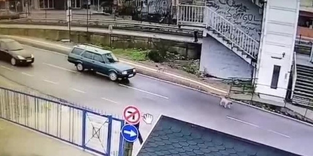 Böyle vicdansızlık görülmedi!