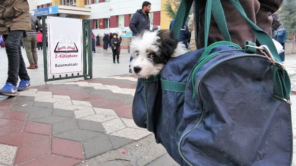 Yavru köpeğini spor çantasında taşıyor 