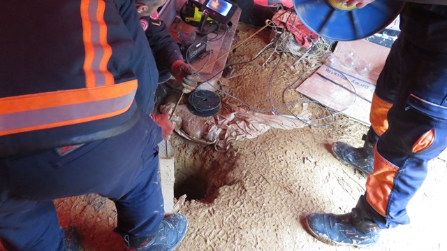 Yavru köpek 70 metrelik kuyuda 6 gündür mahsur