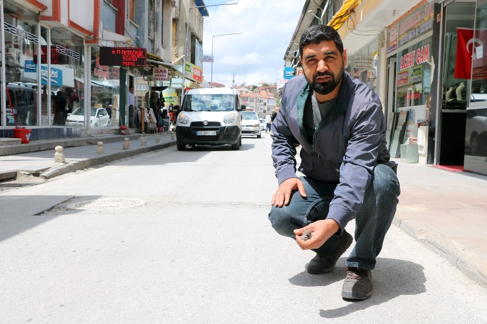 Yavru serçe kuşuna şefkat eli 
