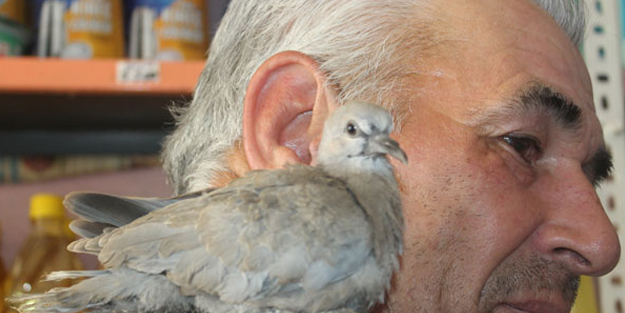 Yavruyken kapısında buldu, bir daha ayrılamadı
