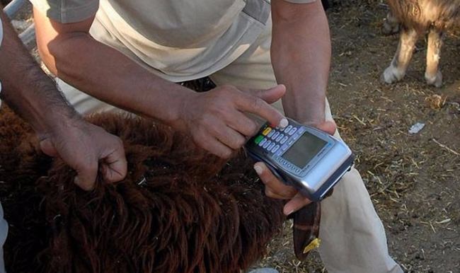 Yavuz: Kurban ibadetine bankaları karıştırmak doğru değil