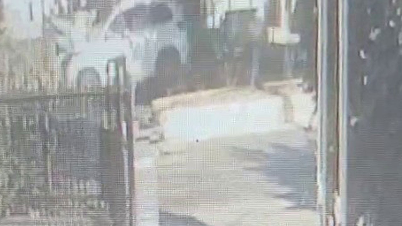 Yaya geçidinde facia! Yaşam savaşını kaybetti