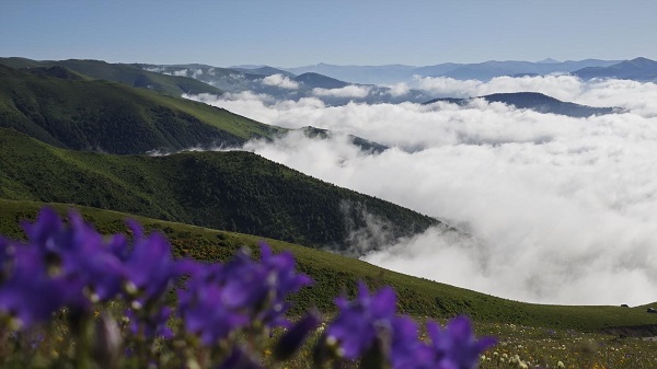 Yayla değil adeta bulut denizi