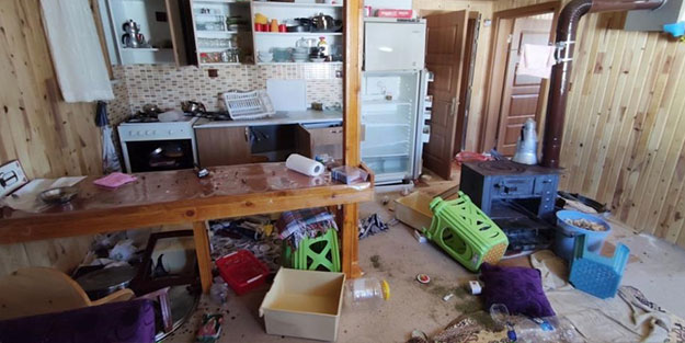 Yayla evine dadandılar! Fotokapana yakalandılar