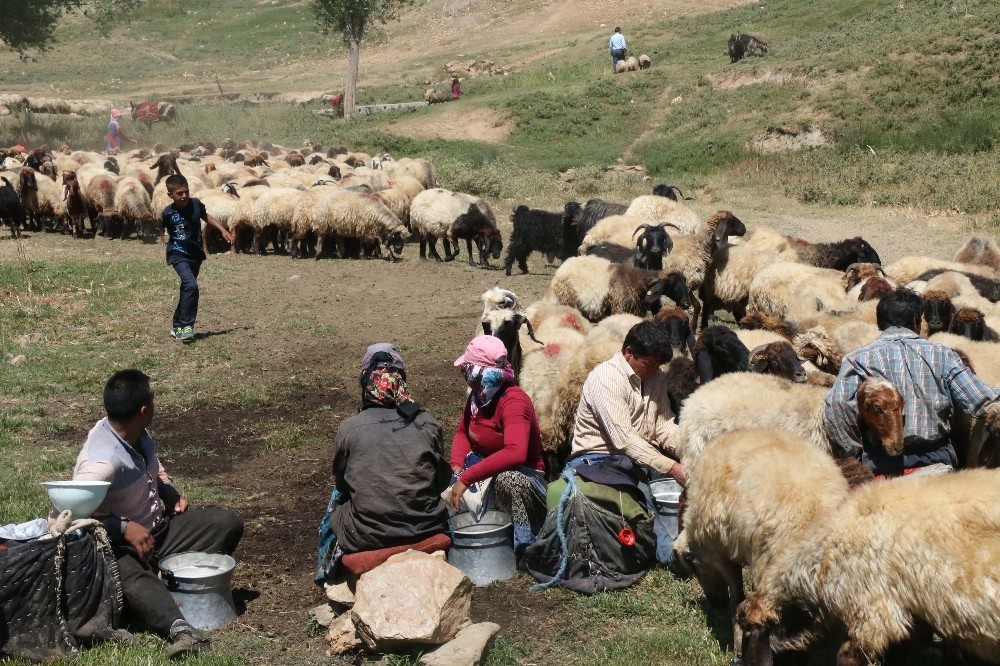 Yaylada Kurban Bayramı 