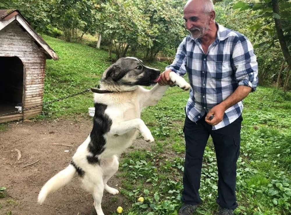 Yayladaki evinde ölü bulundu 