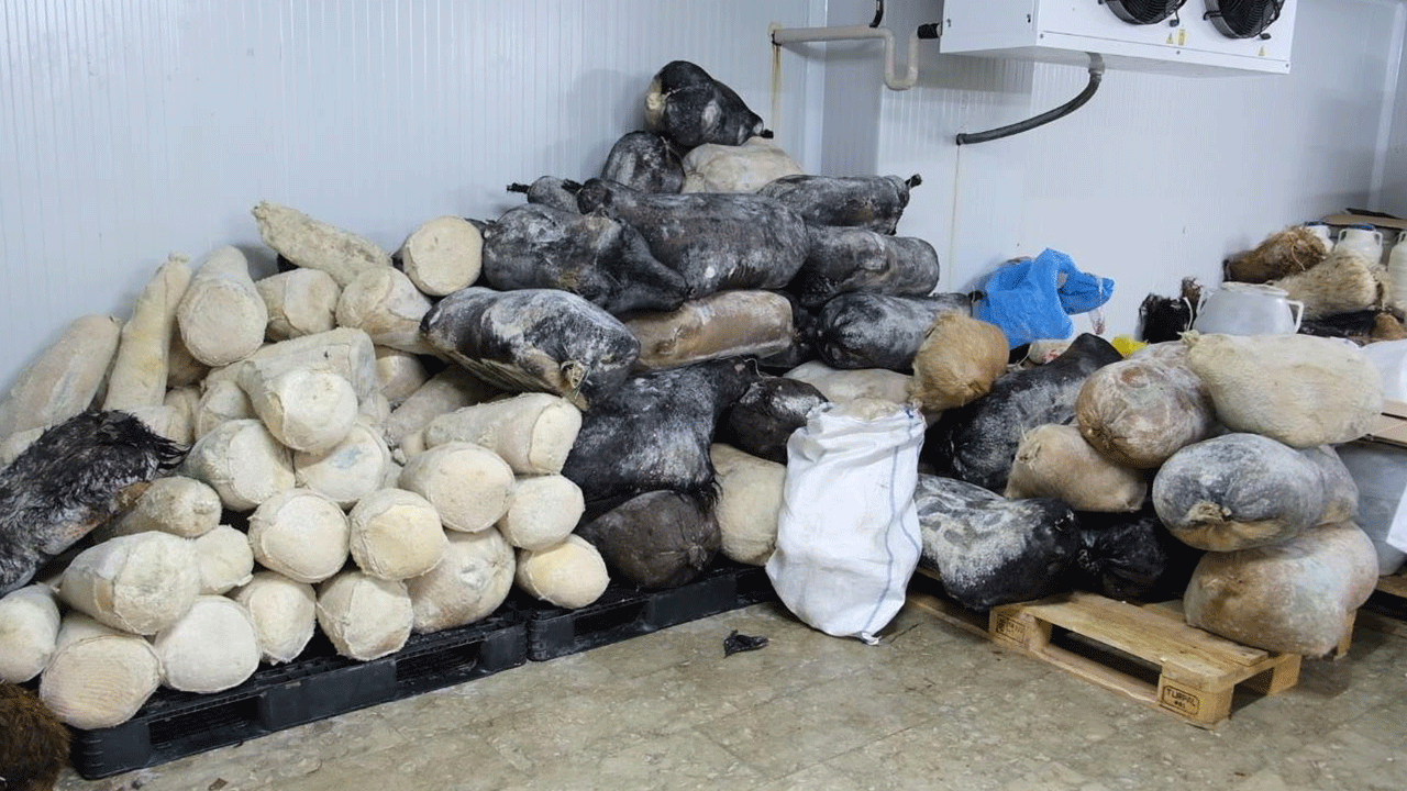 Yayladan sofraya eşsiz lezzet! Erzincan Tulum Peyniri taklit tehlikesiyle karşı karşıya