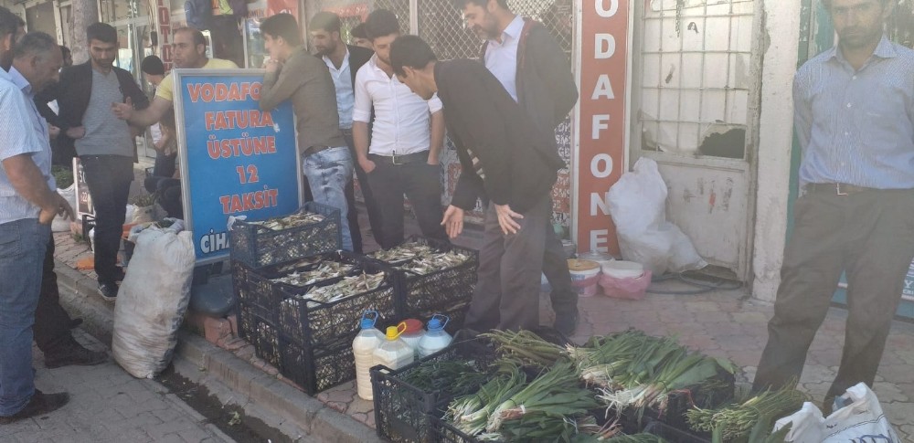 Yayladan topladıkları bitkileri satarak geçimlerini sağlıyorlar 