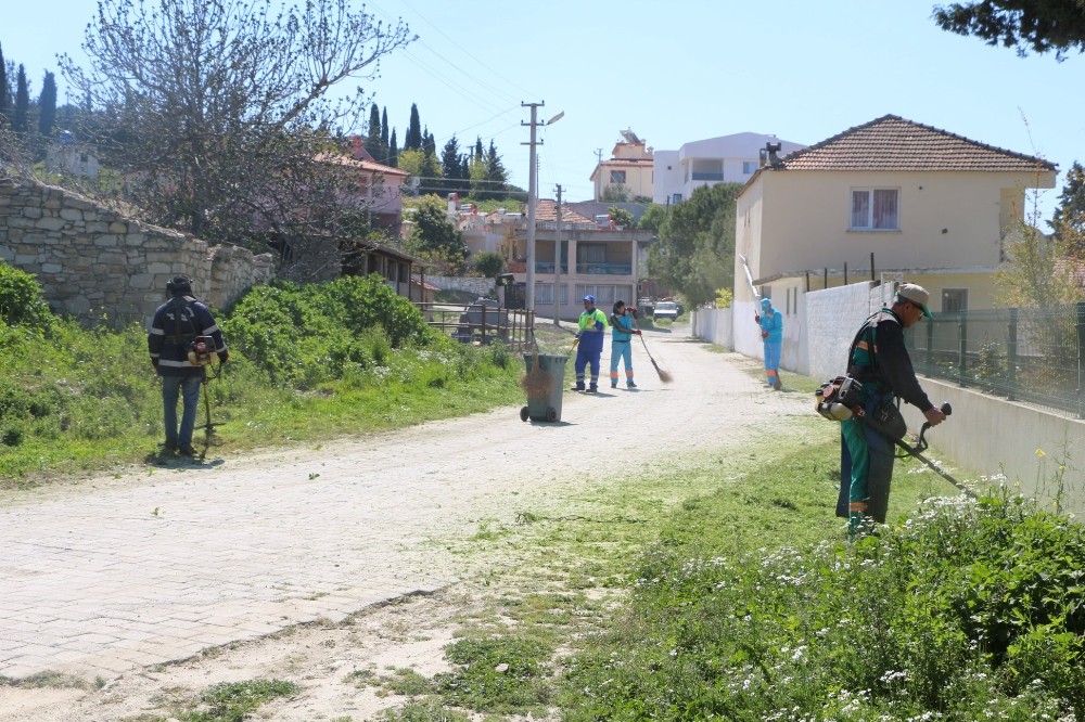 Yaylaköy baştan sona temizlendi 